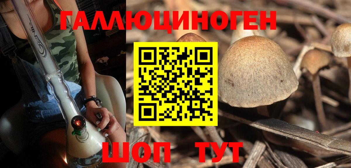 Псилоцибиновые грибы Magic Shrooms  купить наркотик  Зима  Вход с VPN 